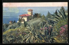 La Mortola, Villa Hanbury, Postcard 