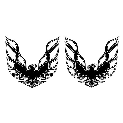 Trans firebird pontiac bird - trans,