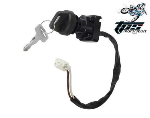 Pin ignition switch - pin, barrel