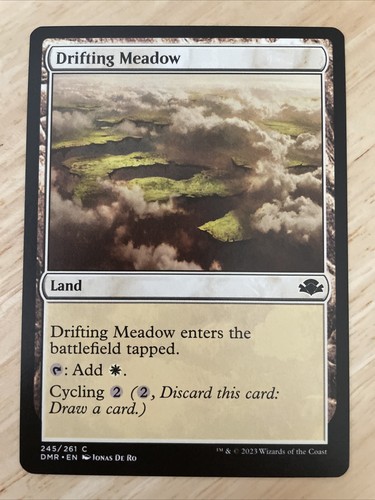 Mtg drifting meadow dominaria - meadow,