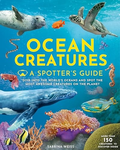 Ocean creatures spotter - ocean, creatures: