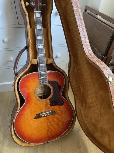 Alliance acoustic guitar - alliance,