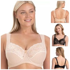 Miss Mary Of Sweden Dotty