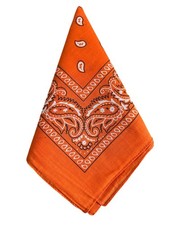 Bandana Cotton Paisley Mouth Protection Headband Head Wear Wrap Band Neck Scarf
