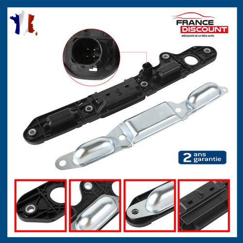 Trunk handle with - trunk,