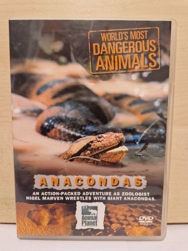 World most dangerous animals - world's,