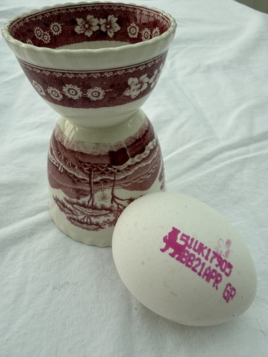Copeland spode tower - spode's, england