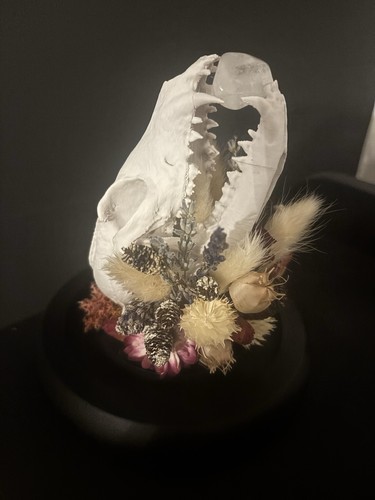Printed fox skull replica - printed,