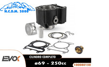 Engine Cylinder Kit D.69Mm