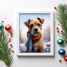 Border Terrier in a Winter