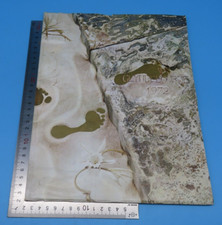 Glyndebourne Festival Opera