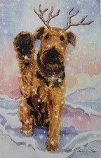 'The Volunteer' Airedale
