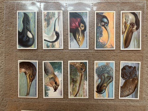 Players curious beaks 1929 - players,,
