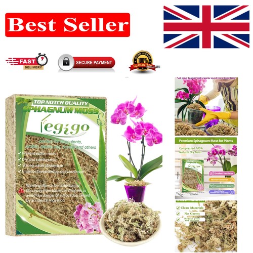 100g dried sphagnum moss - moss, soil