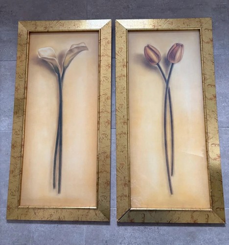 Pair stunning framed prints - of,