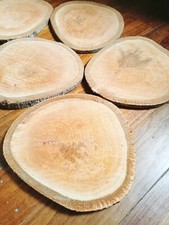 21cm natural tree trunk wood