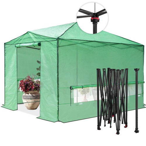 Eagle peak 12x8 - eagle,