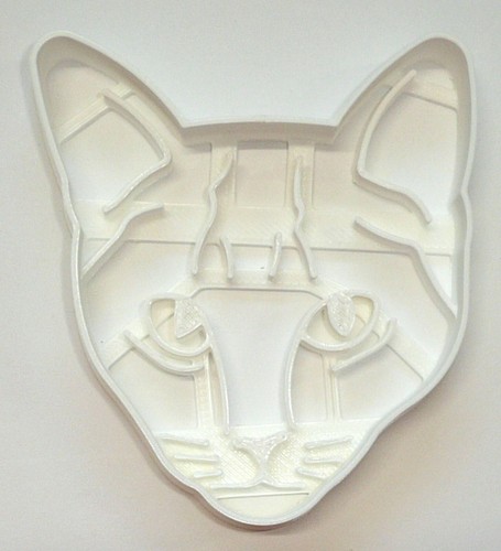 Cat face detailed feline - detailed, kitty