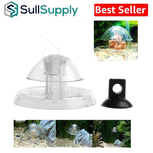 Specialized snail catching - specialized,