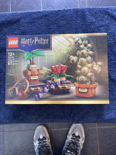 Lego harry potter hogwarts - lego,