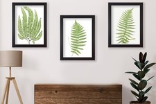 Set of 3 Botanical Art Prints