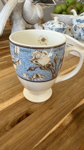 Wedgwood floribunda rose - wedgwood,
