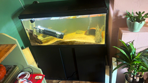 180lt aquatropic glass - aquatropic,
