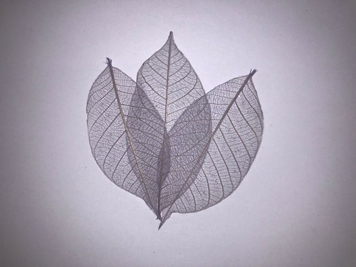 Impex creative crafts - creative,