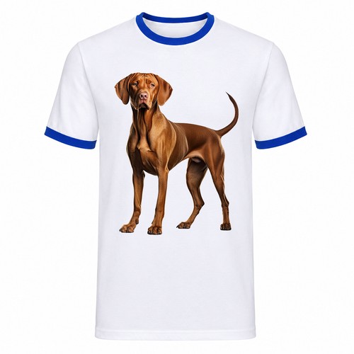 Hungarian vizsla ringer - hungarian,