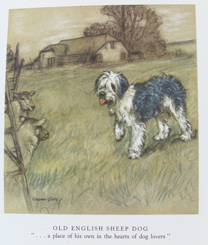 Old vintage print - old,