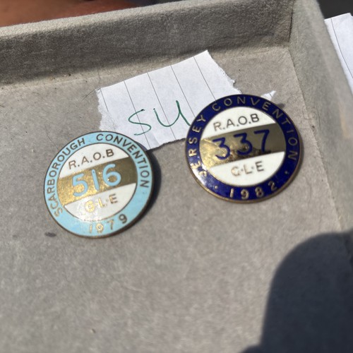 Raob pins lapel - 2x,
