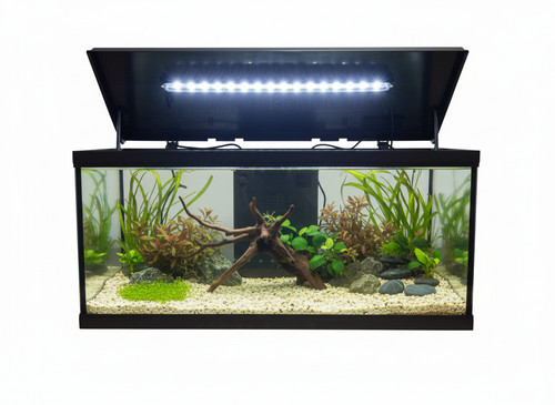 Fish tank complete kit - tank,