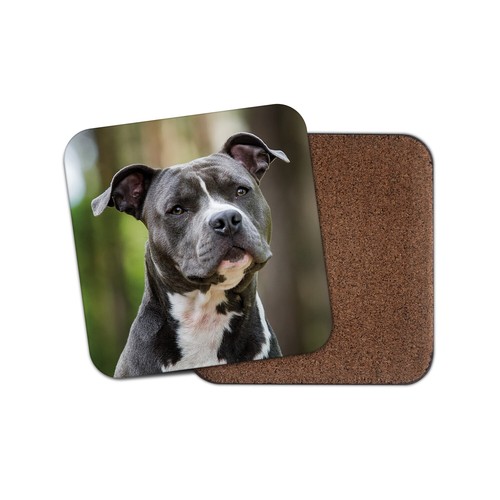 Blue american staffy coaster - staffy,