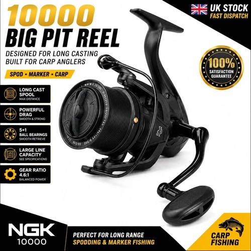 Ngk big pit carp - ngk,