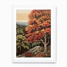 American Chestnut 1 Vintage Autumn  Framed Wall Art Poster Canvas Print Picture