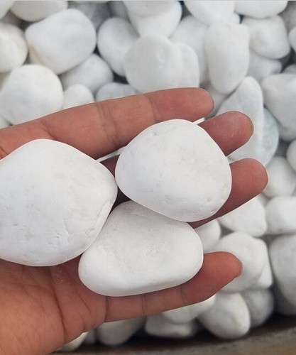 Pebbles premium decorative - pebbles,