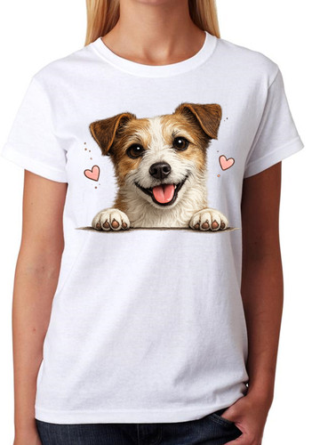 Cute jack russell - cute,