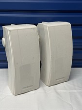 BOSE 251 Environmental Outdoor