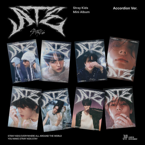 Stray kids ate accordion - stray,