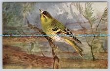 R763049 Siskin Bird R S Art Press Roland Green