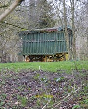 Photo 6x4 Gipsy caravan (or