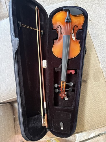 Violin