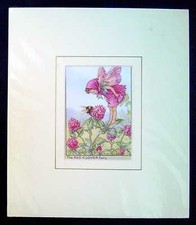Barker, Cicely Mary MOUNTED