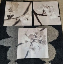 Ikea PJÄTTERYD Series Floral