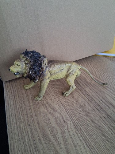 Male lion large solid - lion,