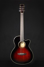 Tanglewood Winterleaf TW4TL