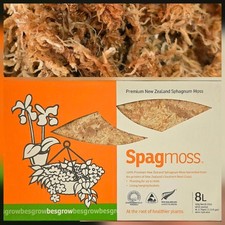 Sphagnum moss New Zealand