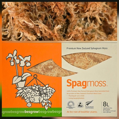 Sphagnum moss new - new, zealand
