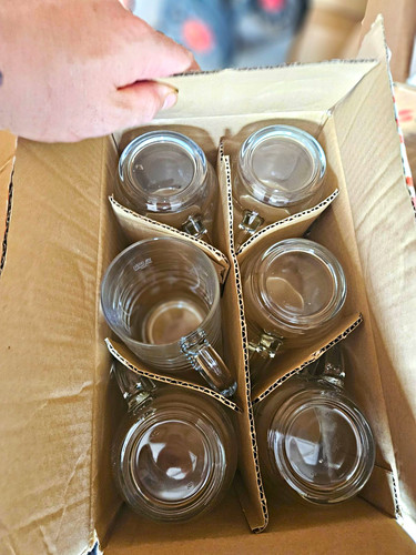 Timothy taylor logo clear - taylor's,