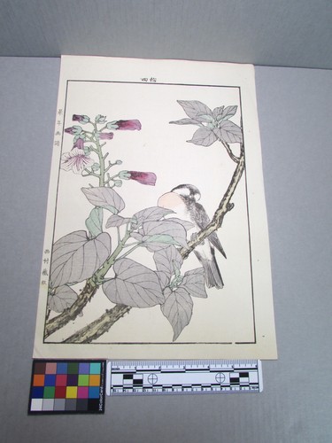 Woodblock print - woodblock,